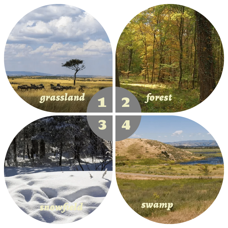Camouflage Pop-Up Hunting Blin – Hunting & Outdoor Supplies Carterton recenzja i cena