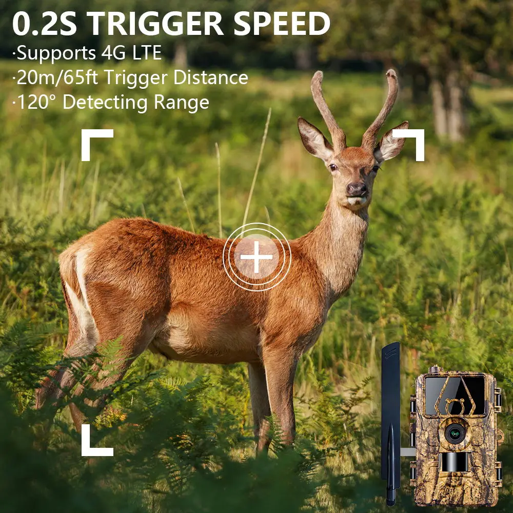 1Pcs HD8K Infrared Camera For  – Outdoor Hunting Video Camera recenzja i cena