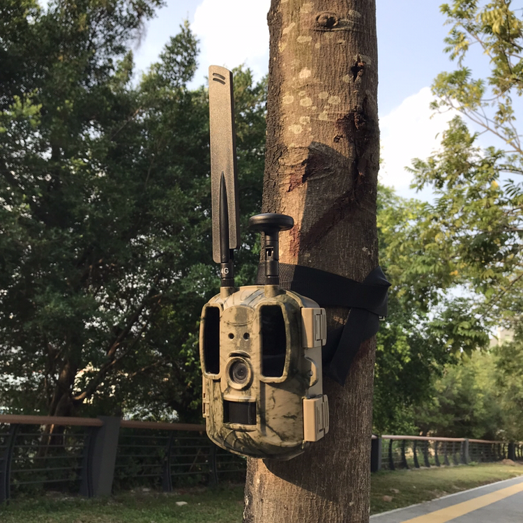 BALEVER Camera OEM Hunting Tra – Hunting Outdoor Camera recenzja i cena