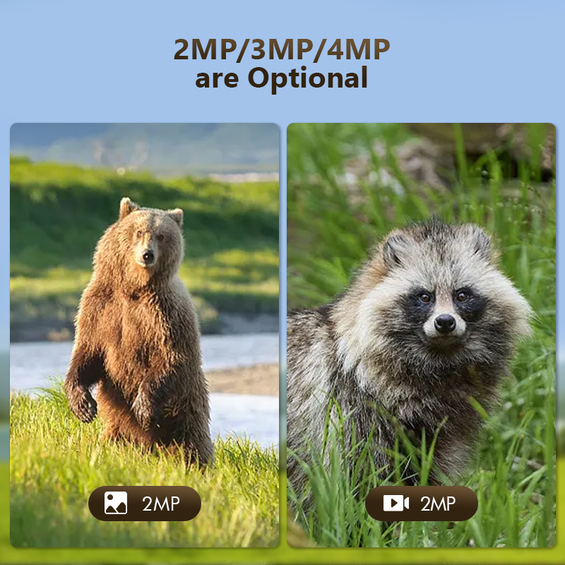 4G 4MP Outdoor Wildlife Huntin – Hunting Outdoor Camera recenzja i cena