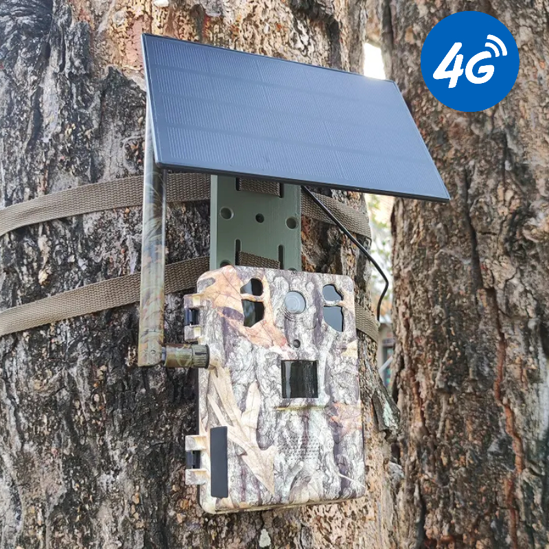 4G LTE Wildlife Solar Hunting  – Outdoor Hunting Video Camera recenzja i cena