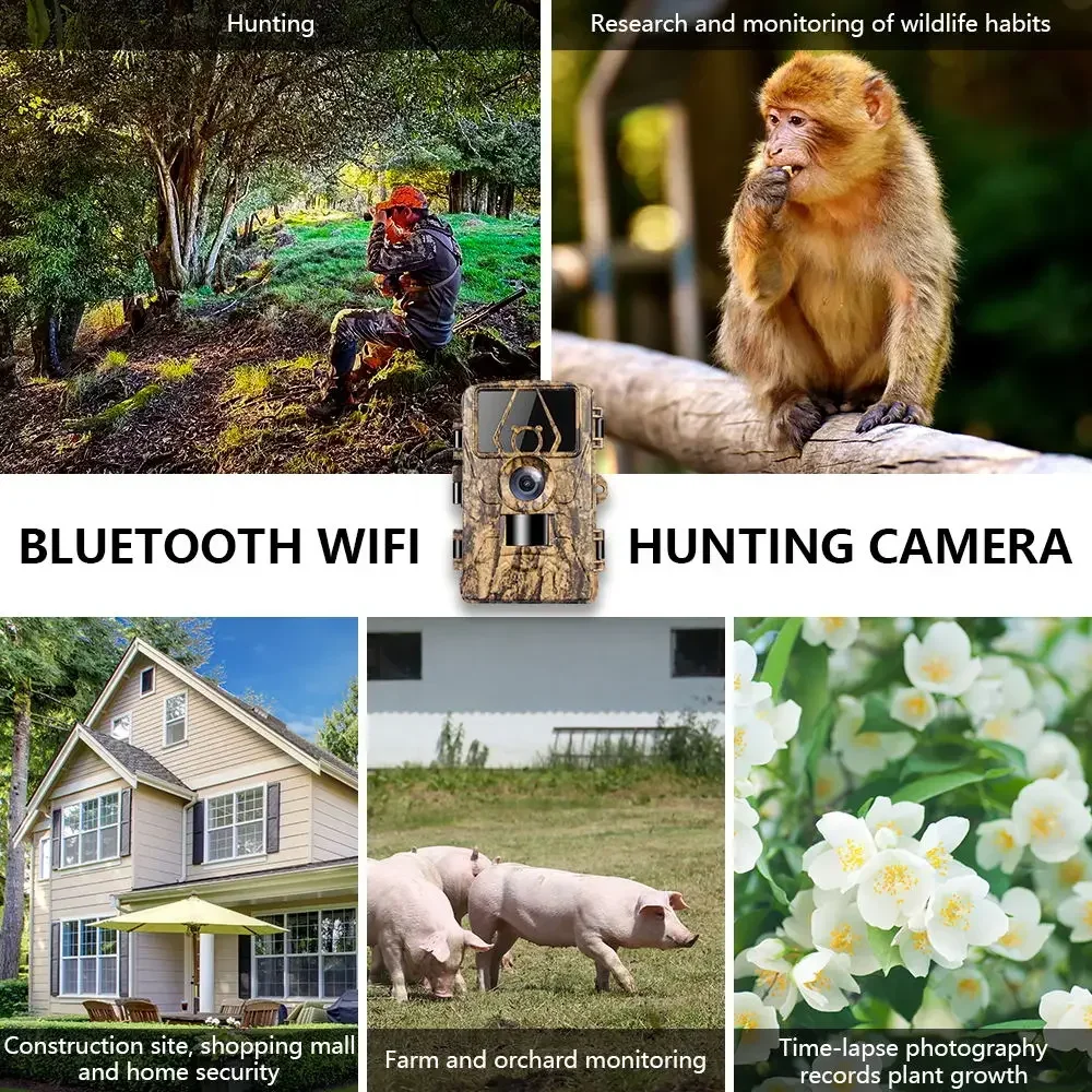 PR801W WIFI 8K 60MP Digital Tr – Hunting Outdoor Camera recenzja i cena