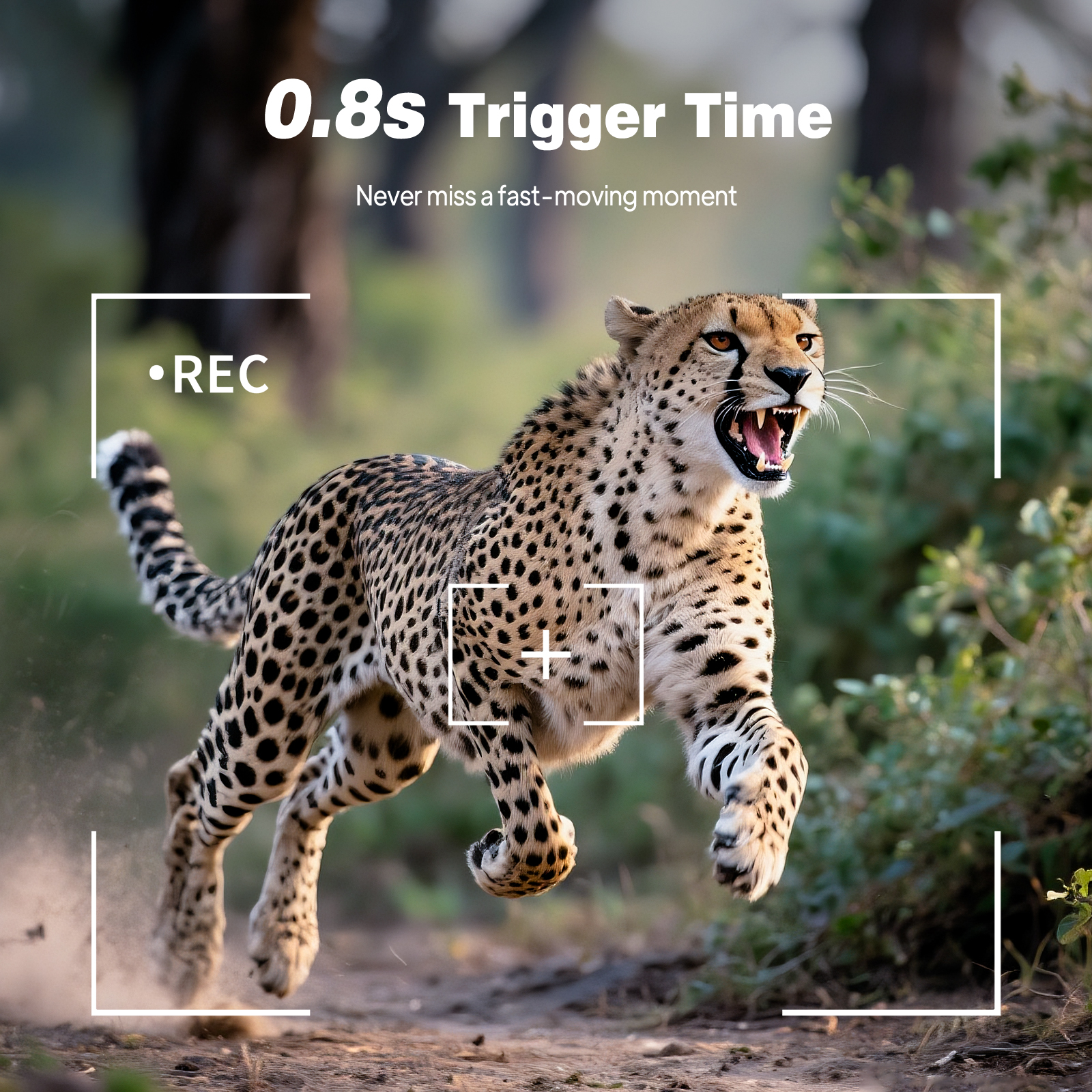 HD Infrared Hunting Camera 2.4 – Outdoor Hunting Video Camera recenzja i cena