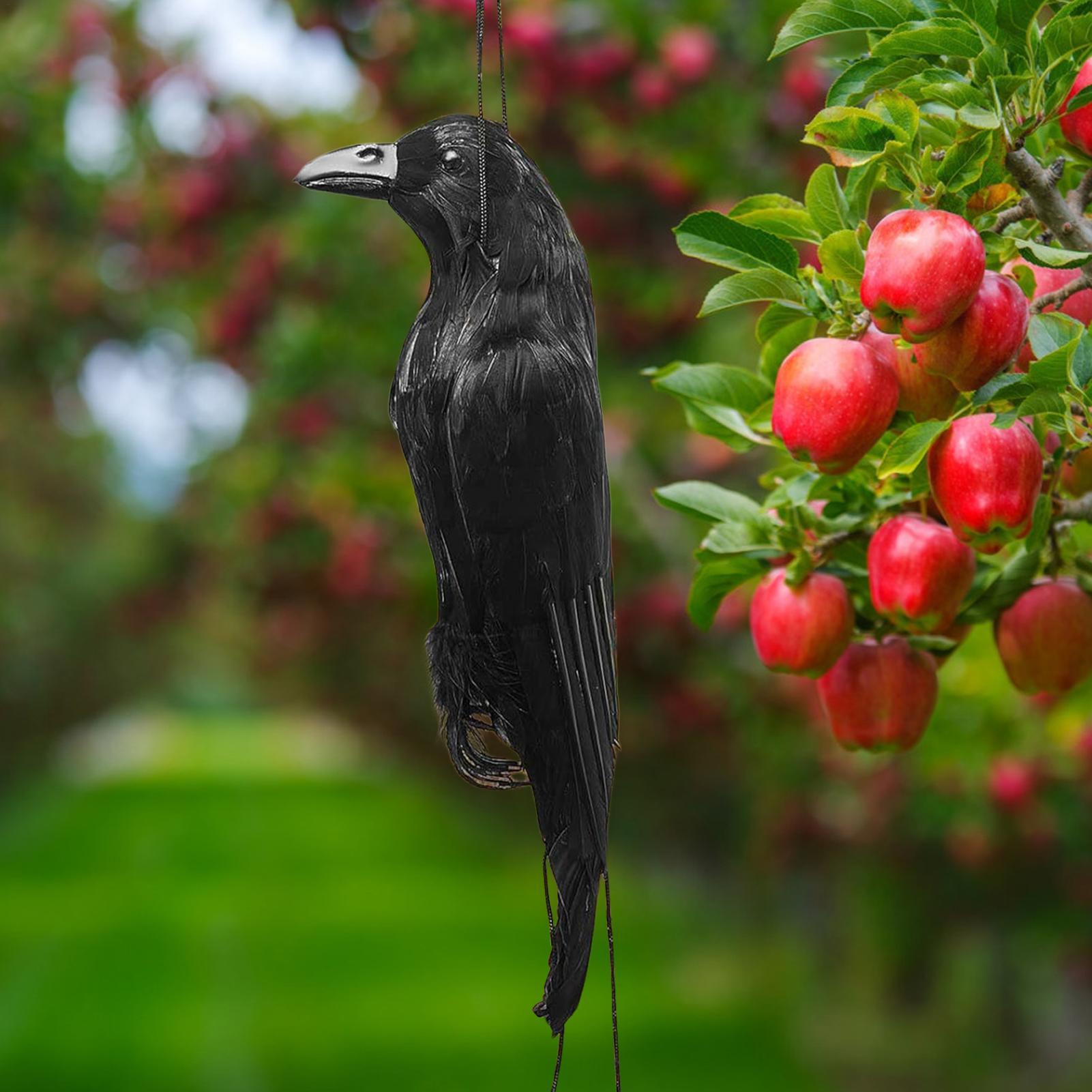 Halloween Crow Decorations Gar – Hunting Outdoor Decor recenzja i cena