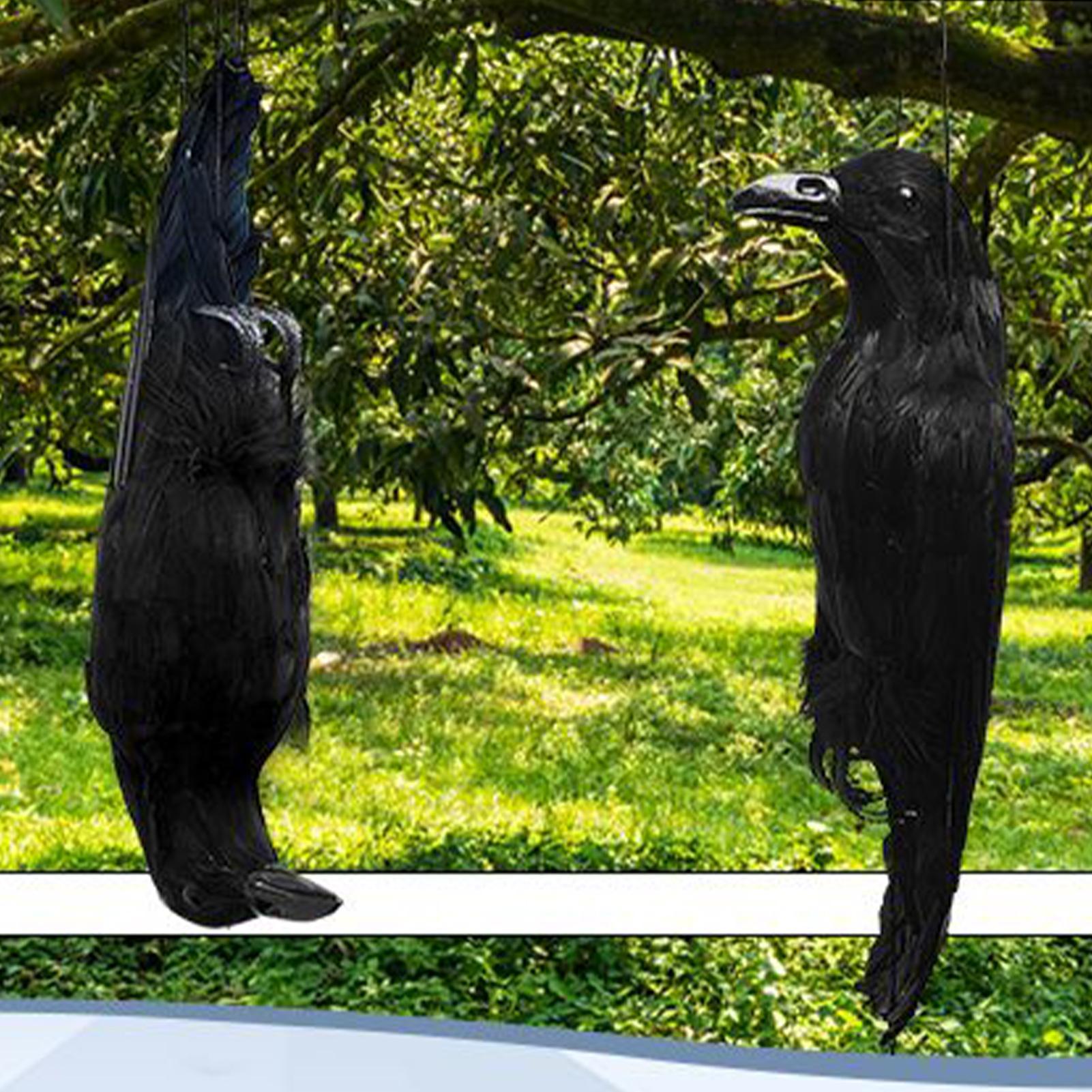 Halloween Crow Decorations Gar – Hunting Outdoor Decor recenzja i cena