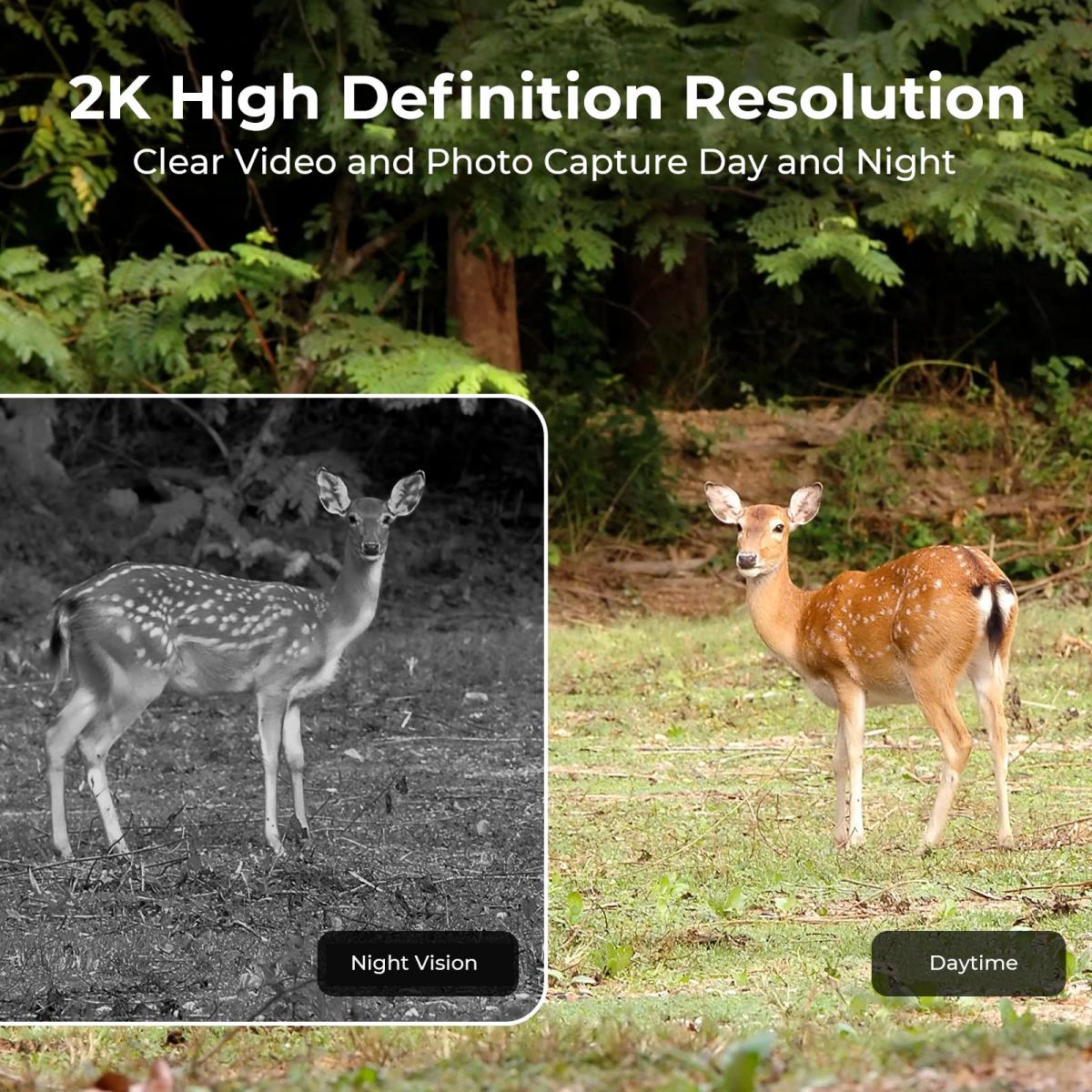 EU 4G Cellular 2K Battery Sola – Outdoor Hunting Video Camera recenzja i cena