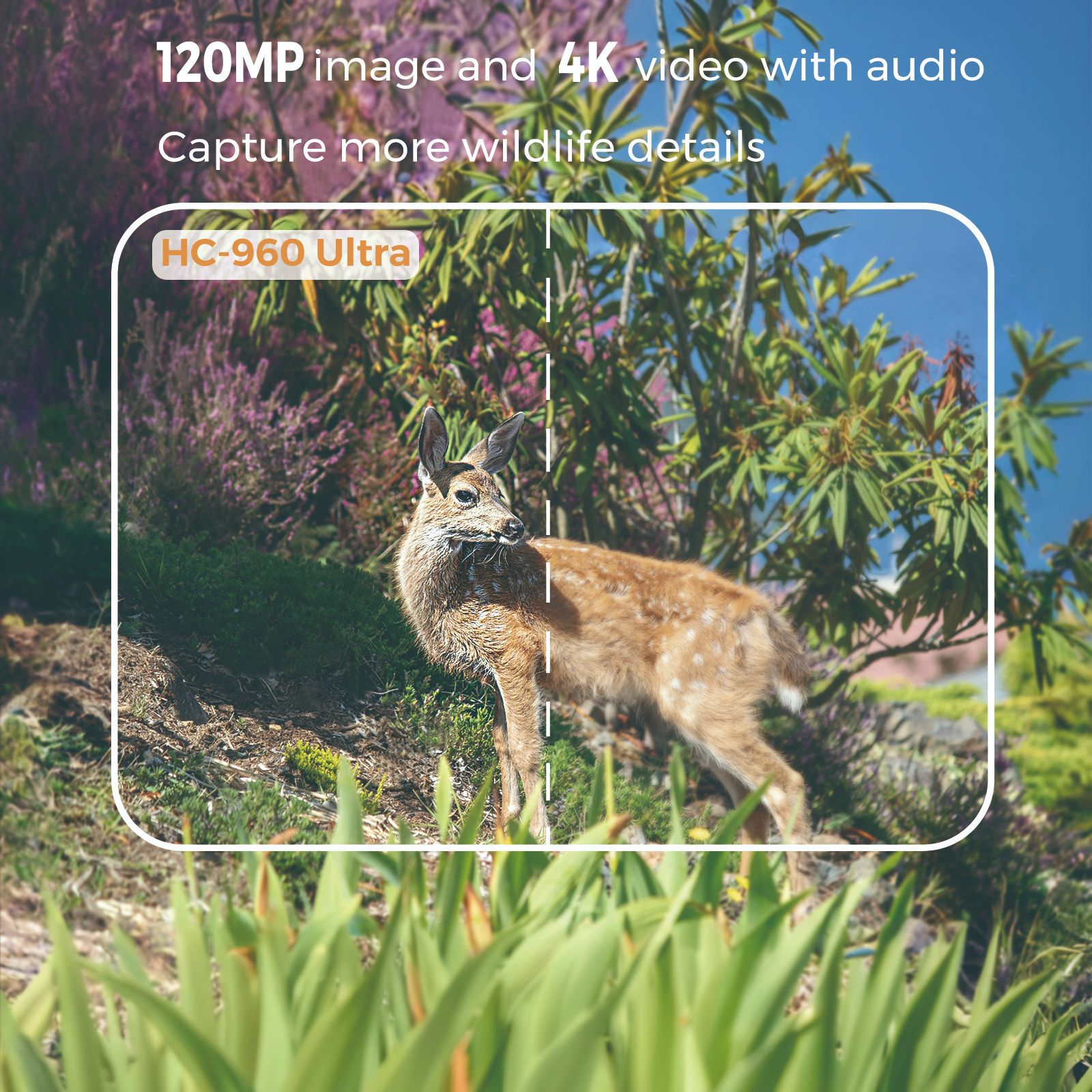 4G outdoor wildlife infrared c – Hunting Outdoor Camera recenzja i cena