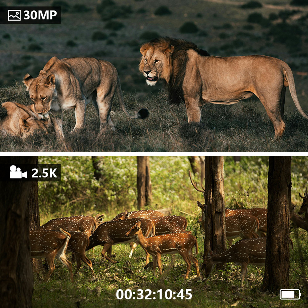Digital Night-Vision Device Da – Outdoor Hunting Digital Night Vision recenzja i cena